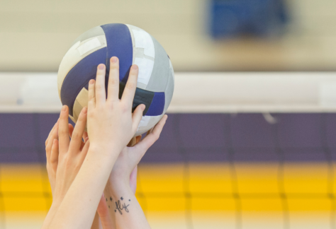 11teamsports Vereinsshop(4)