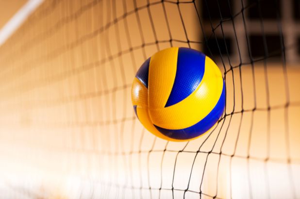 Volleyball Image (1)