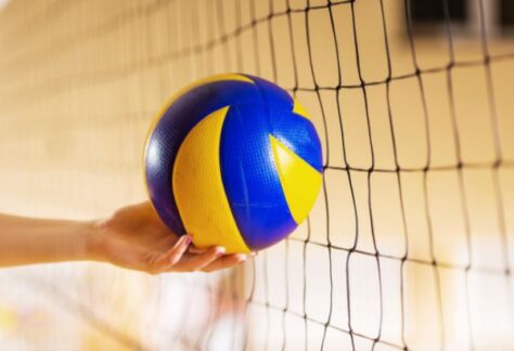 Volleyball Image (2)