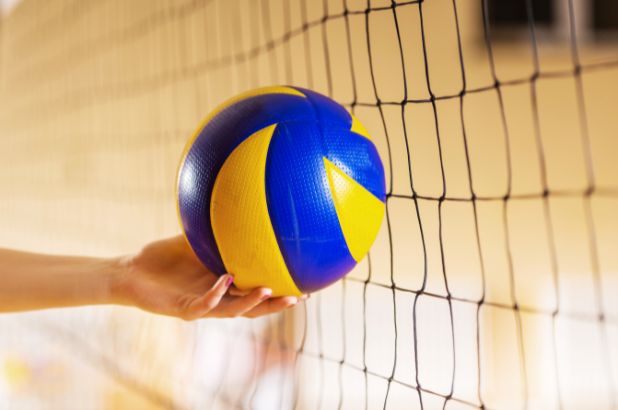 Volleyball Image (2)