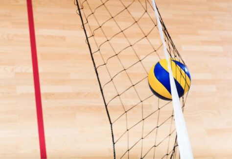 Volleyball Image (5)